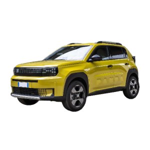 FIAT GRANDE PANDA (Solo Privati)